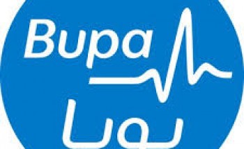 وظائف شاغرة لدى بوبا للتأمين في 3 مدن