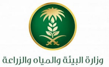 وزارة البيئة تعلن عن توفر وظائف إدارية شاغرة للجنسين
