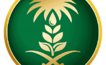 وزارة البيئة والمياه تعلن التقديم عن برنامج تدريبي متكامل (سعودي جاب)