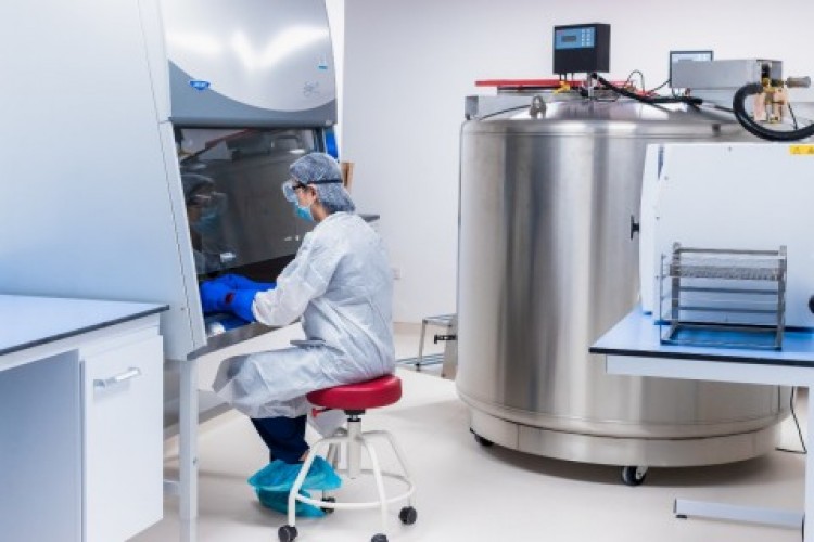 الإمارات تعلن نجاح تجارب سريرية لعلاج فيروس كورونا باستخدام الخلايا الجذعية