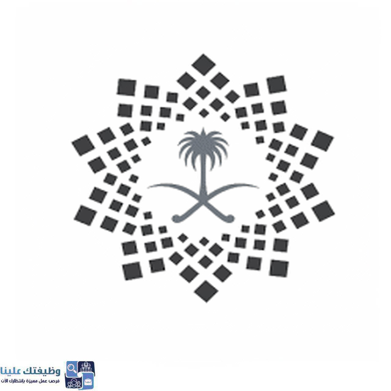 برنامج خدمة ضيوف الرحمن Pdf